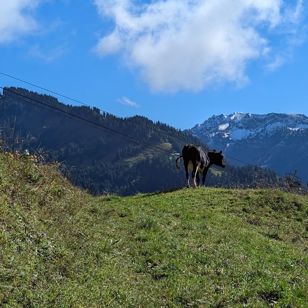 Radfahren im Bregenzerwald