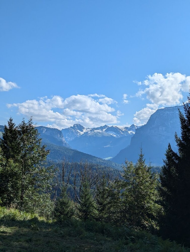 Winter on the Hirschberg