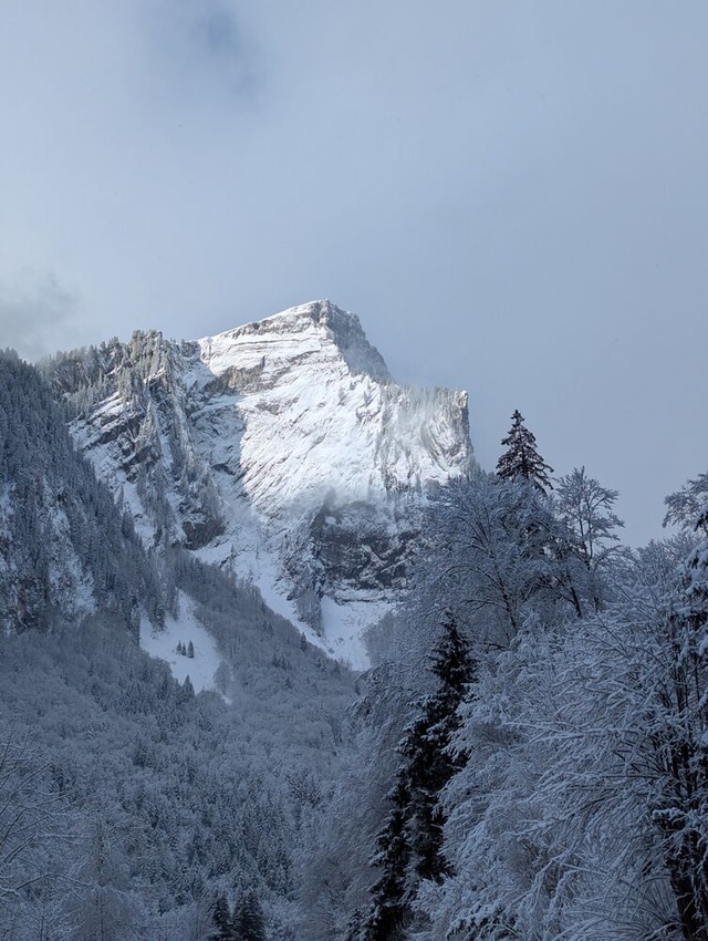 Winter landscape