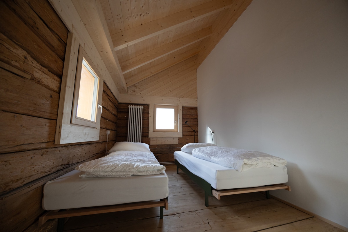 Photo of the forest room