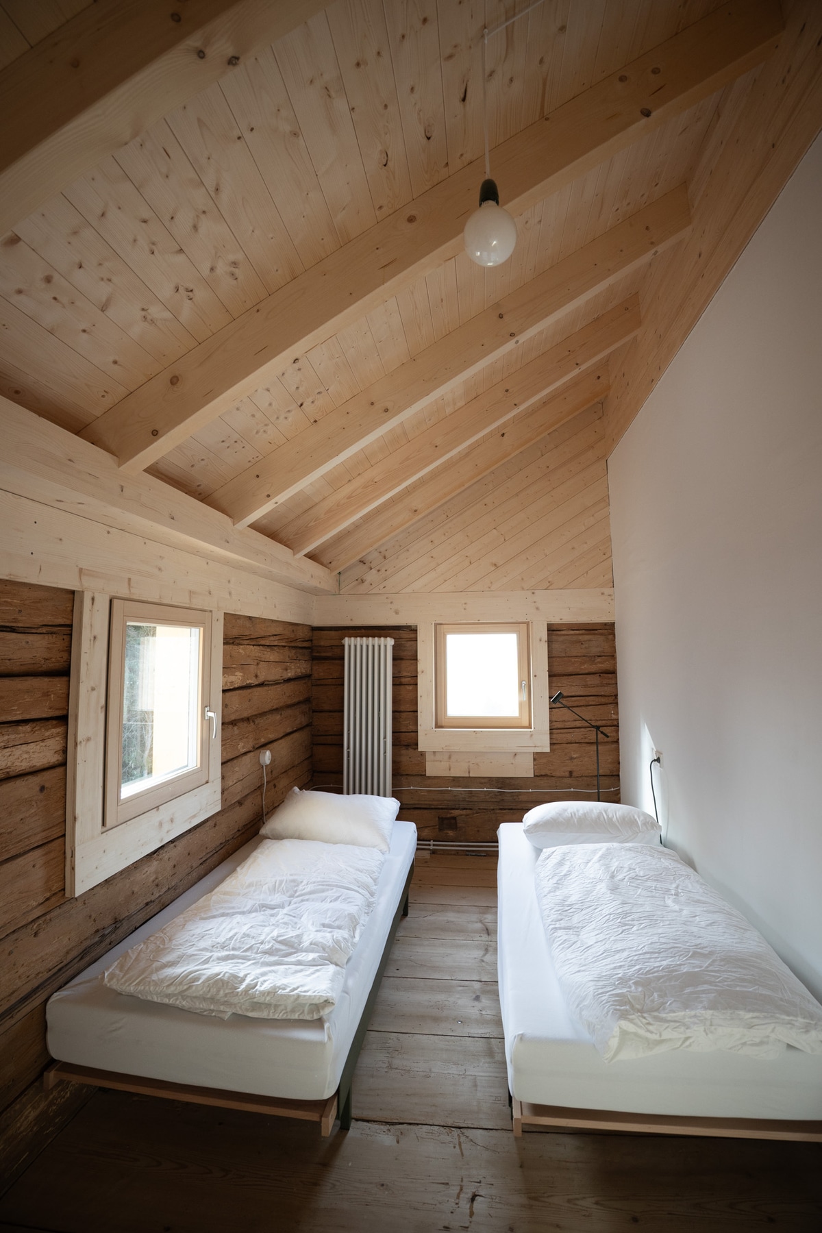 Forest room, view 2