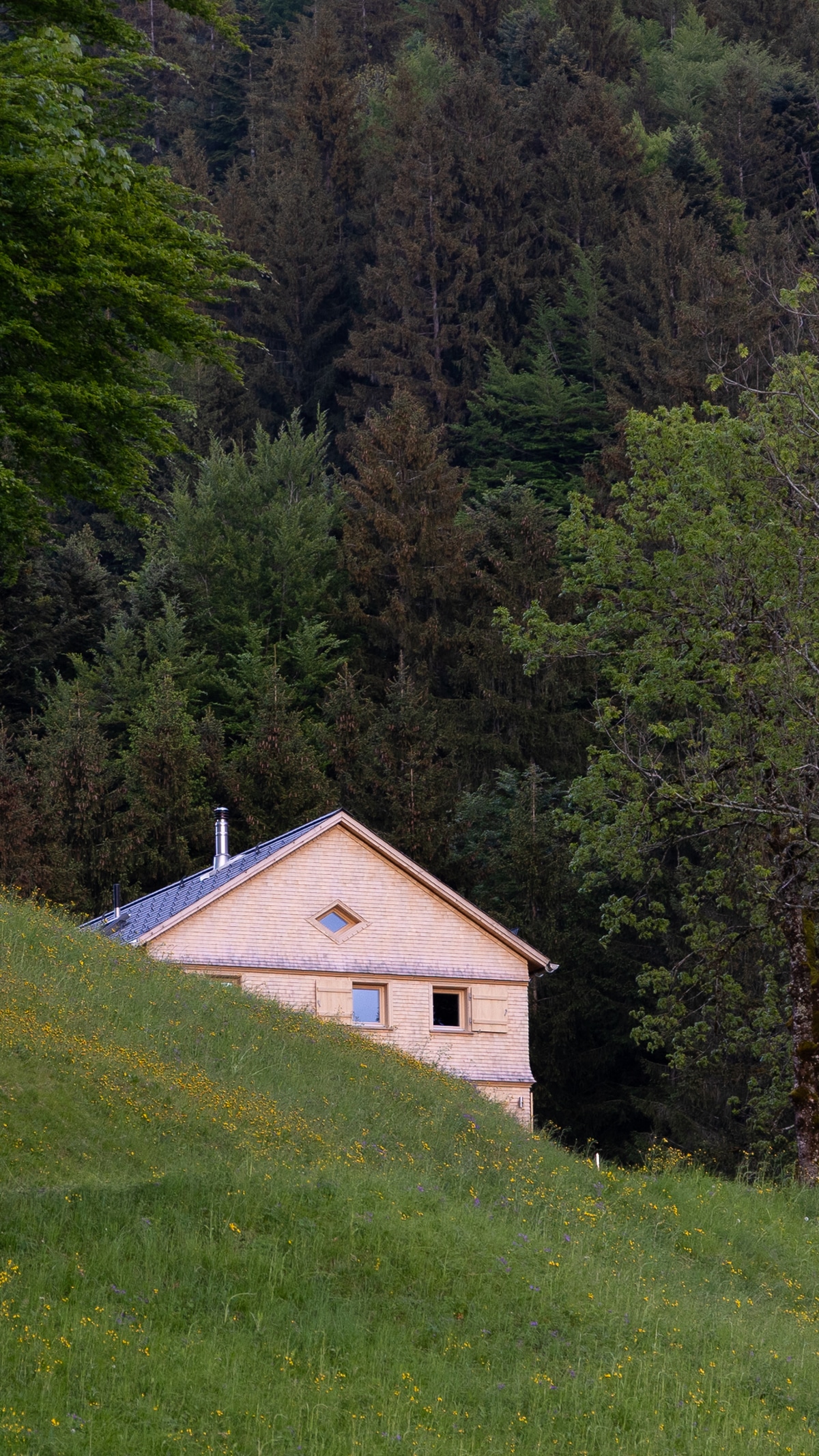 West view with meadow